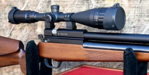 Best Air Rifle Scopes