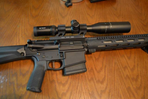 Best vortex scopes for ar10