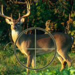 Best Vortex Scopes for Deer Hunting