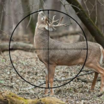 Best Riflescopes for Deer Hunting
