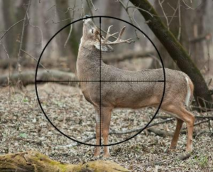 Best Riflescopes for Deer Hunting