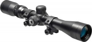 Best Ruger 10/22 Scopes