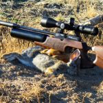 Best air rifle scopes under $100