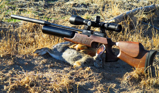 Best air rifle scopes under $100