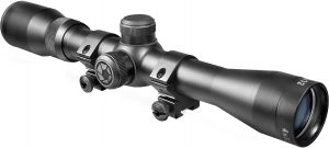 Scopes for 22lr Squirrel Hunting