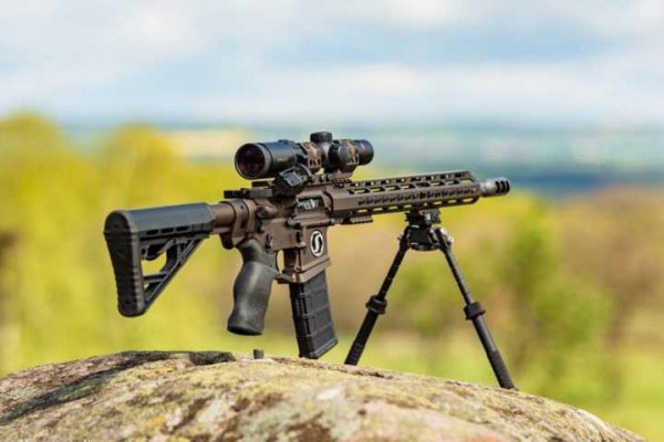 8 Best Scopes for AR15 Review | Coyote Hunting Scopes