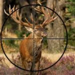 Best Leupold scopes for elk hunting