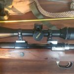Best Nikon Air Rifle Scopes