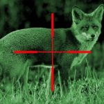 Night Vision Scopes for Coyote Hunting