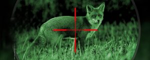 Night Vision Scopes for Coyote Hunting