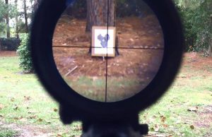 Best Rifle Scopes for 100 Yards