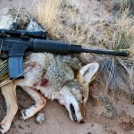 Best Scopes for Varmint Hunting