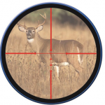 Best Illuminated Reticle Scope