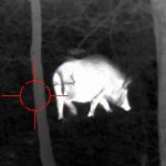 Best Hog Hunting Thermal Scopes