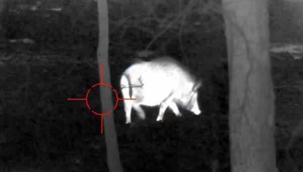 Best Hog Hunting Thermal Scopes