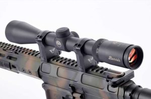 Best Burris Scope for 308 Rifles