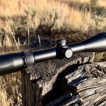 Long-Distance Varmint Hunting Scopes